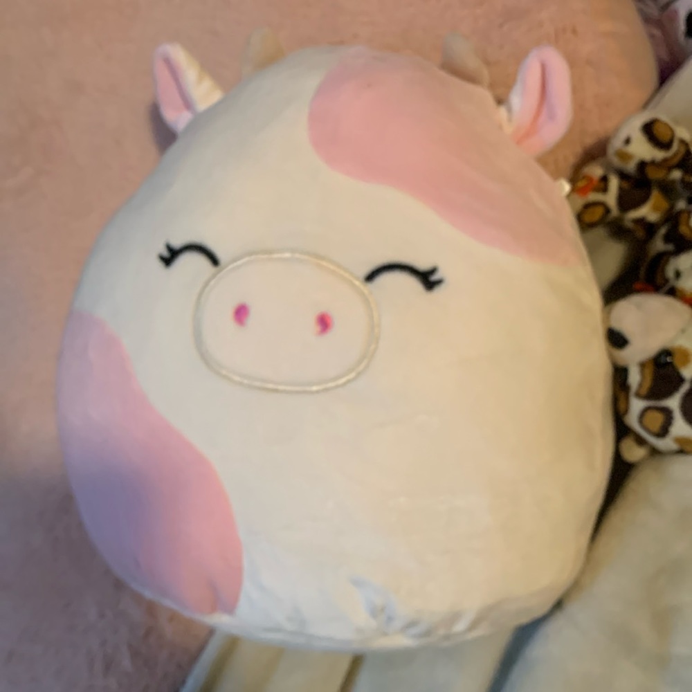 Caedyn the cow light pink squishmallow 10inch NWT